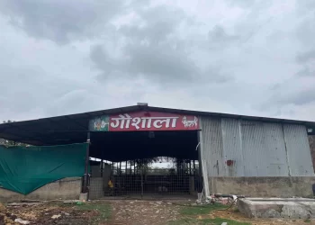 Property grounds and outdoor area at Chattarpur Farms in Nagpur
